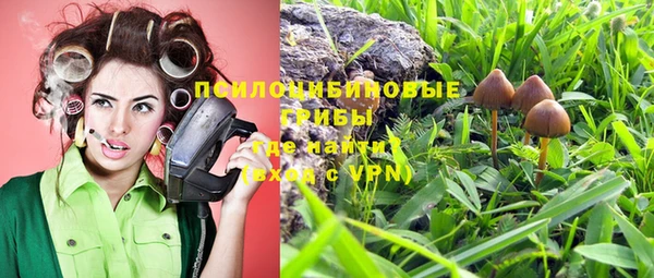 ALPHA-PVP Грязовец