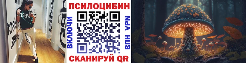 наркотики  Кинешма  Галлюциногенные грибы Psilocybine cubensis 