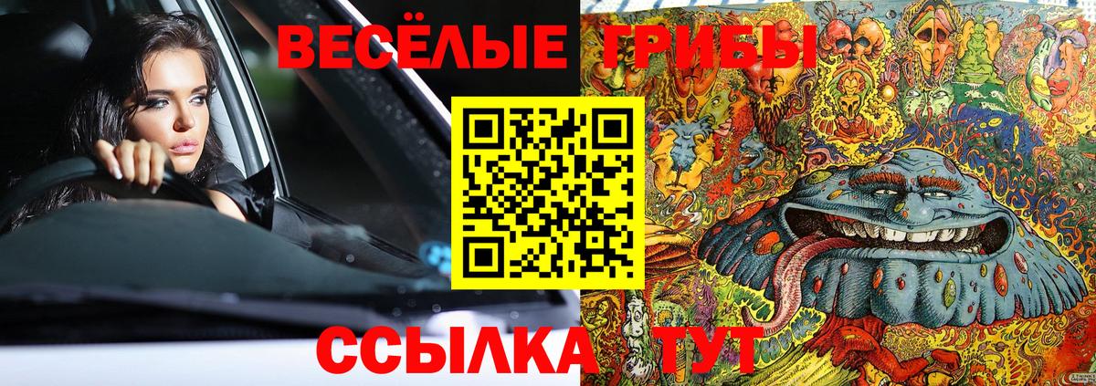 Псилоцибиновые грибы GOLDEN TEACHER Кинешма